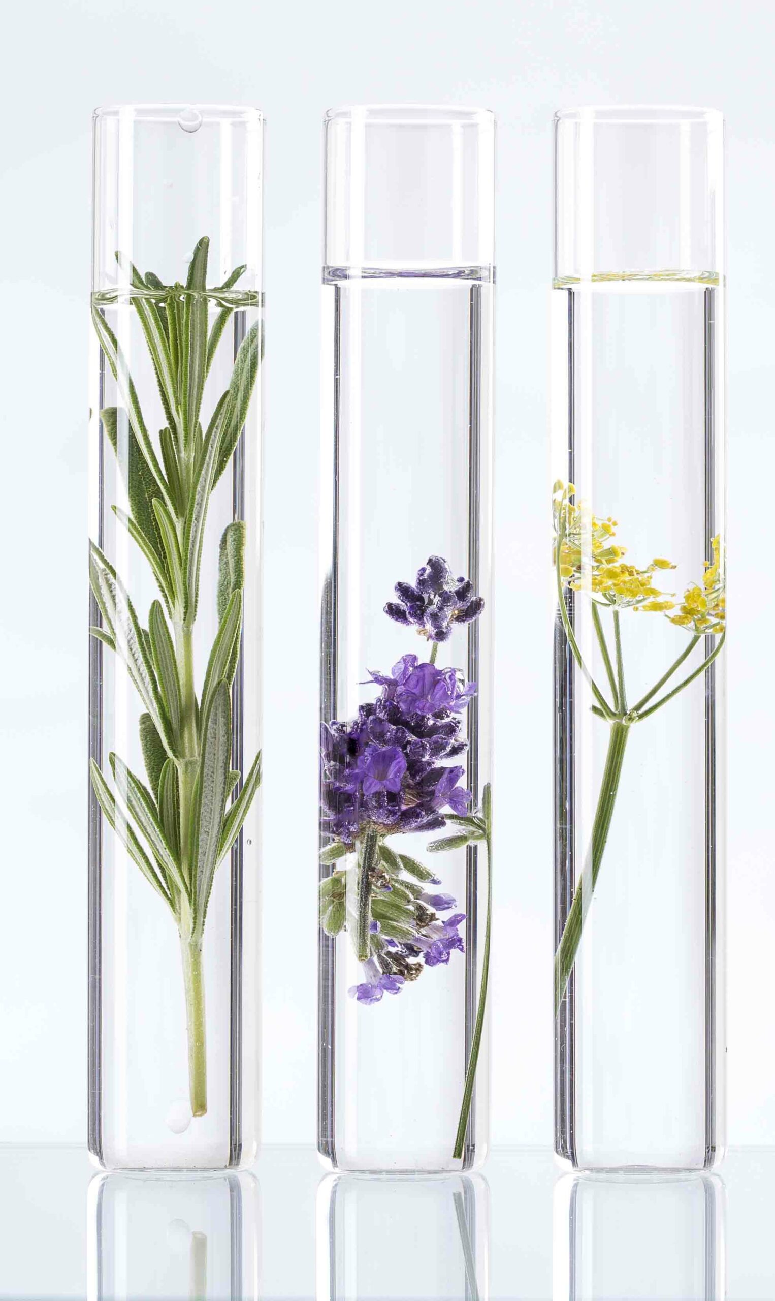 Imagen noticia LA COSMÉTICA BIO MÁS DE MODA QUE NUNCA