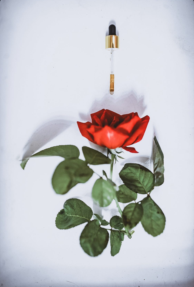 Imagen noticia ALQVIMIA CELEBRA POR TODO LO ALTO EL DÍA INTERNACIONAL DE LA MUJER