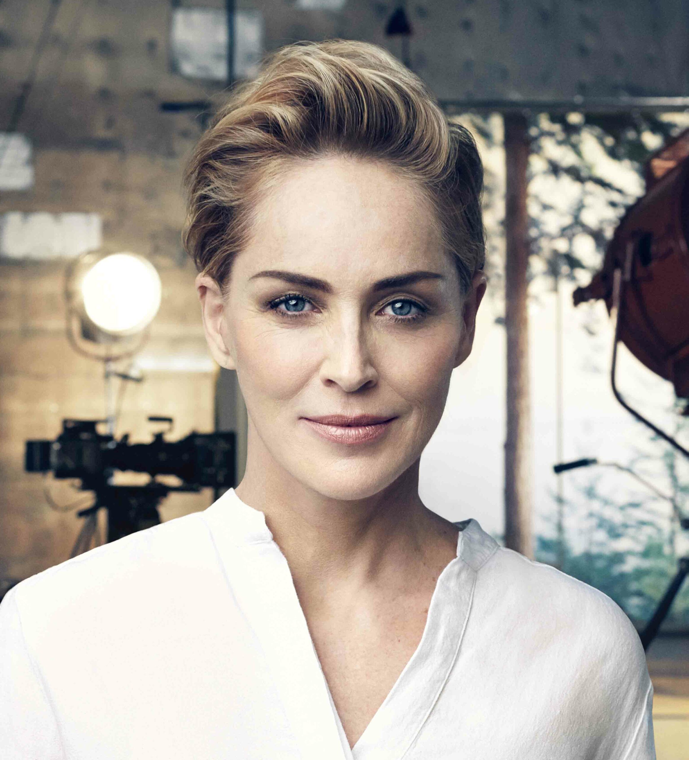 Imagen noticia SHARON STONE DA LA CARA POR LA ESTÉTICA MÉDICA