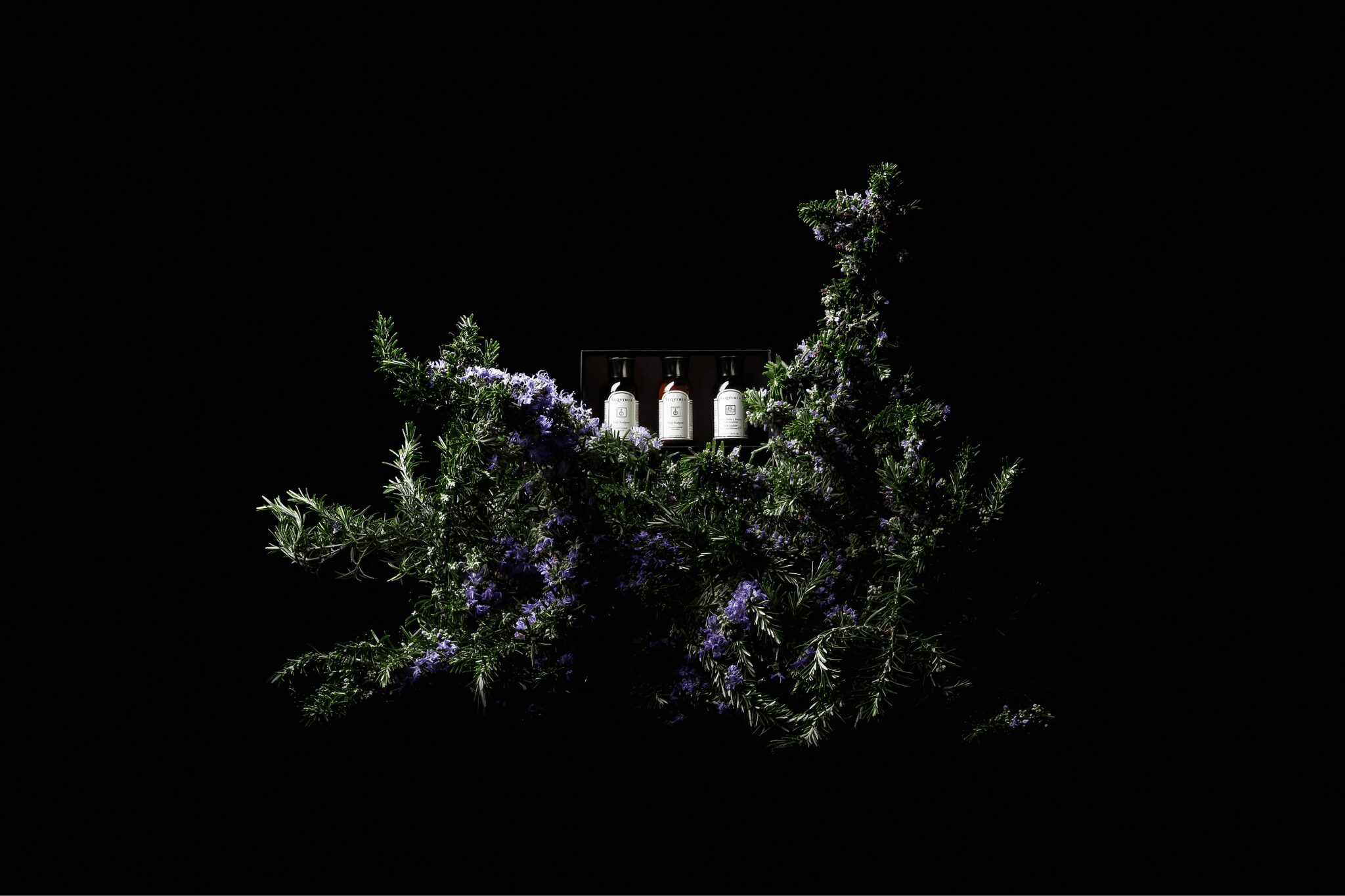 La Gama Silueta, formada por 4 productos.